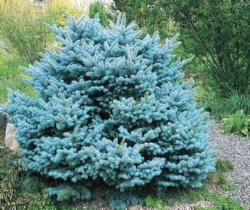 657015_102013-F.jpg