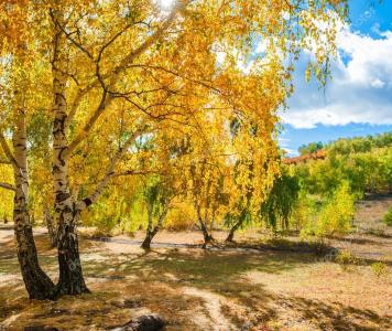 autumn.jpg