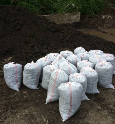 Продажа живых деревьев - Дом Крупномеров