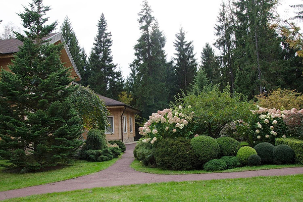 Крупномеры в ландшафтном дизайне