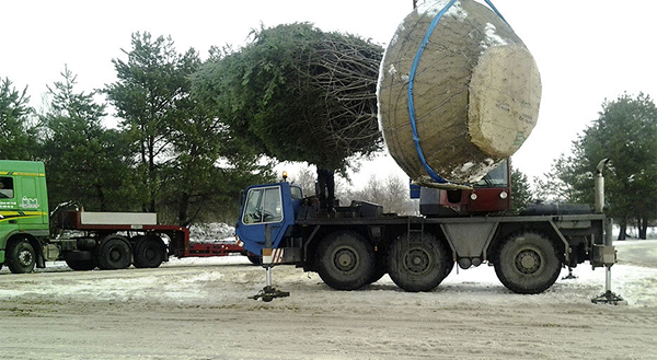 Особенности транспортировки крупномеров